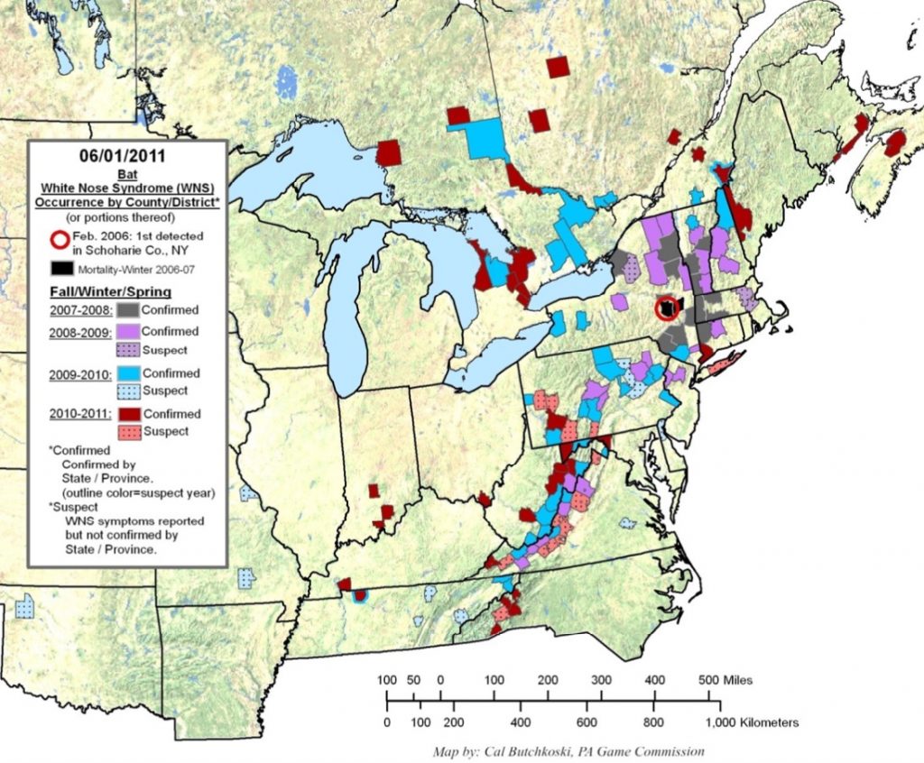 2011 map of Bat White Nose Syndrome
