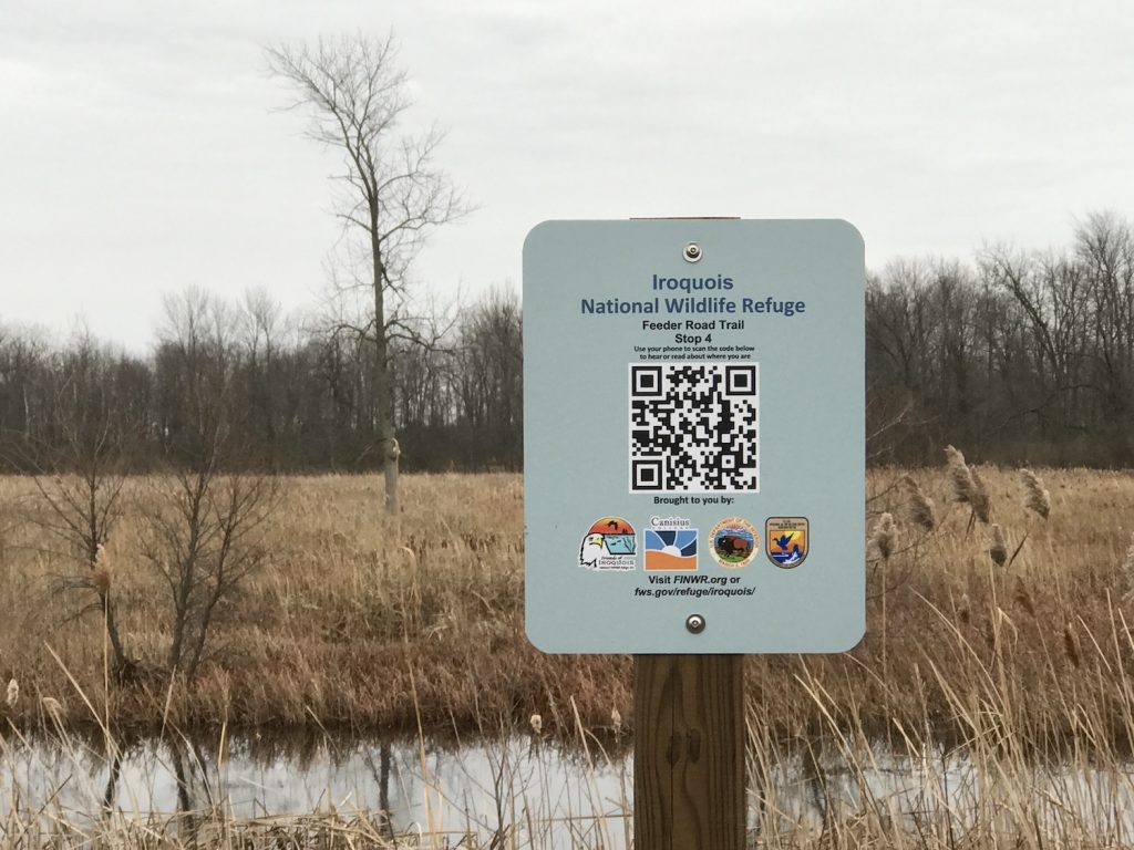 Have you seen these types of signs? These have QR codes on them - aim your phone's camera at them to open a webpage that plays the audio tour. Photo by Celeste Morien