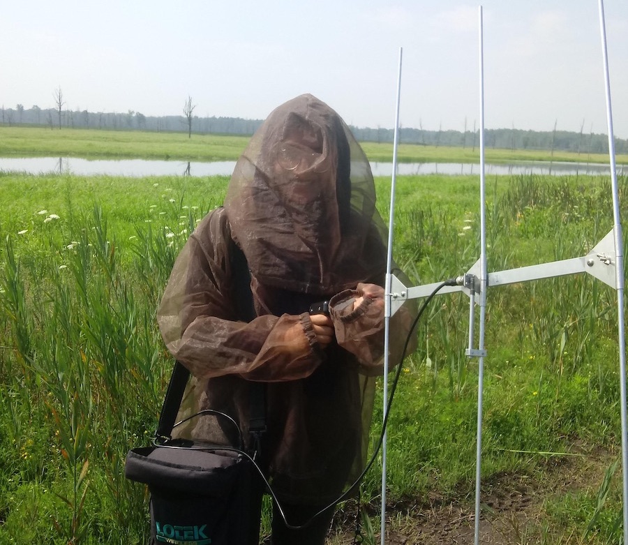 Our Purple Martin Researchers at the refuge found Mosquito net jackets to be very helpful in conducting radio surveys. Photo by Dr. Heather Williams.