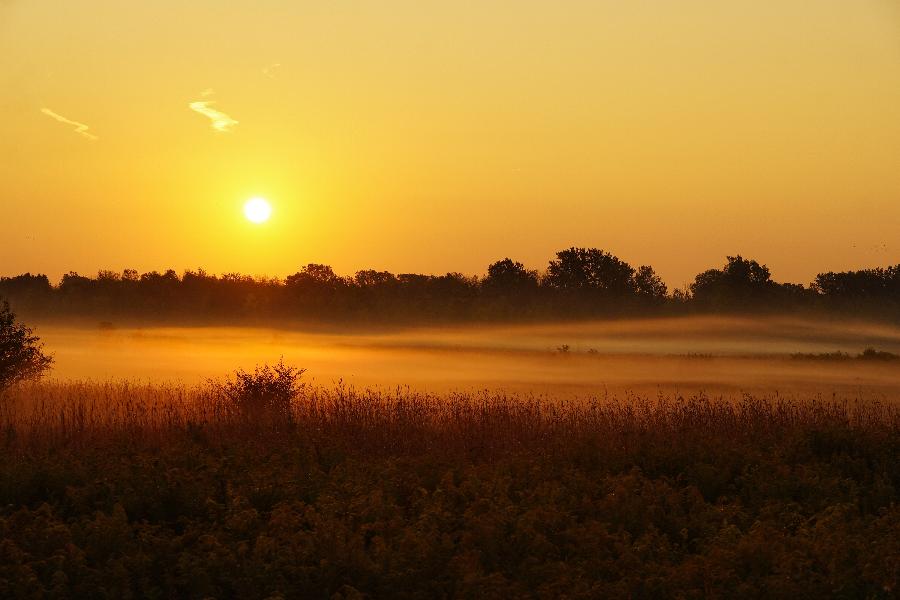 Category: Habitat; Photographer: Tom Stearns; Award: 1st Place