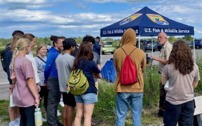 Pollinator meadow at Iroquois refuge opens