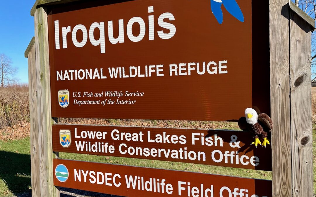 Refuge trails open, but be aware