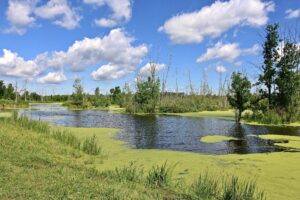 Second Place, Landscape