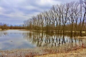 Third place, landscape