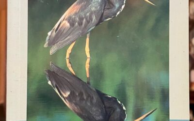 14 books for nature lovers on your list