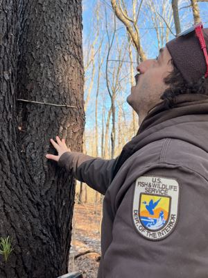 Trees don’t leave much to chance in winter