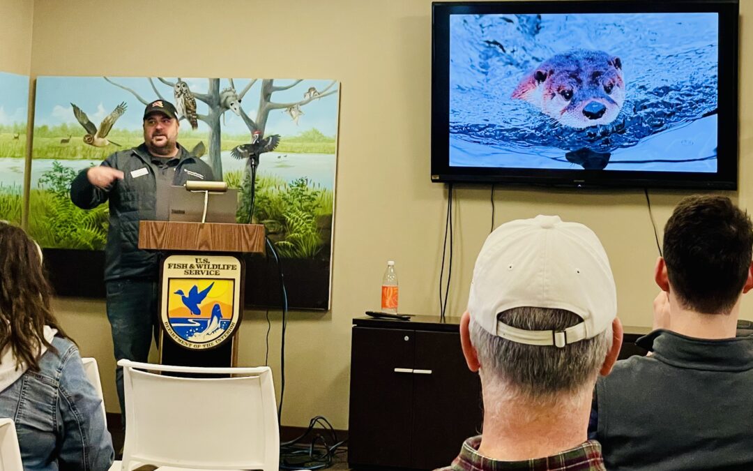 Otters making a comeback in Western New York